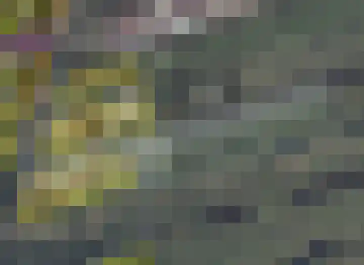 Demmerik 13 Vinkeveen thumbnail 56