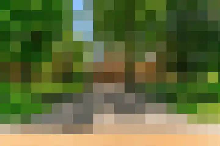 Demmerik 13 Vinkeveen thumbnail 6