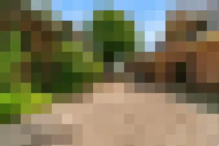 Demmerik 13 Vinkeveen thumbnail 7