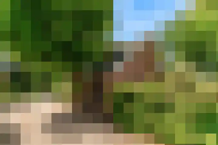 Demmerik 13 Vinkeveen thumbnail 8