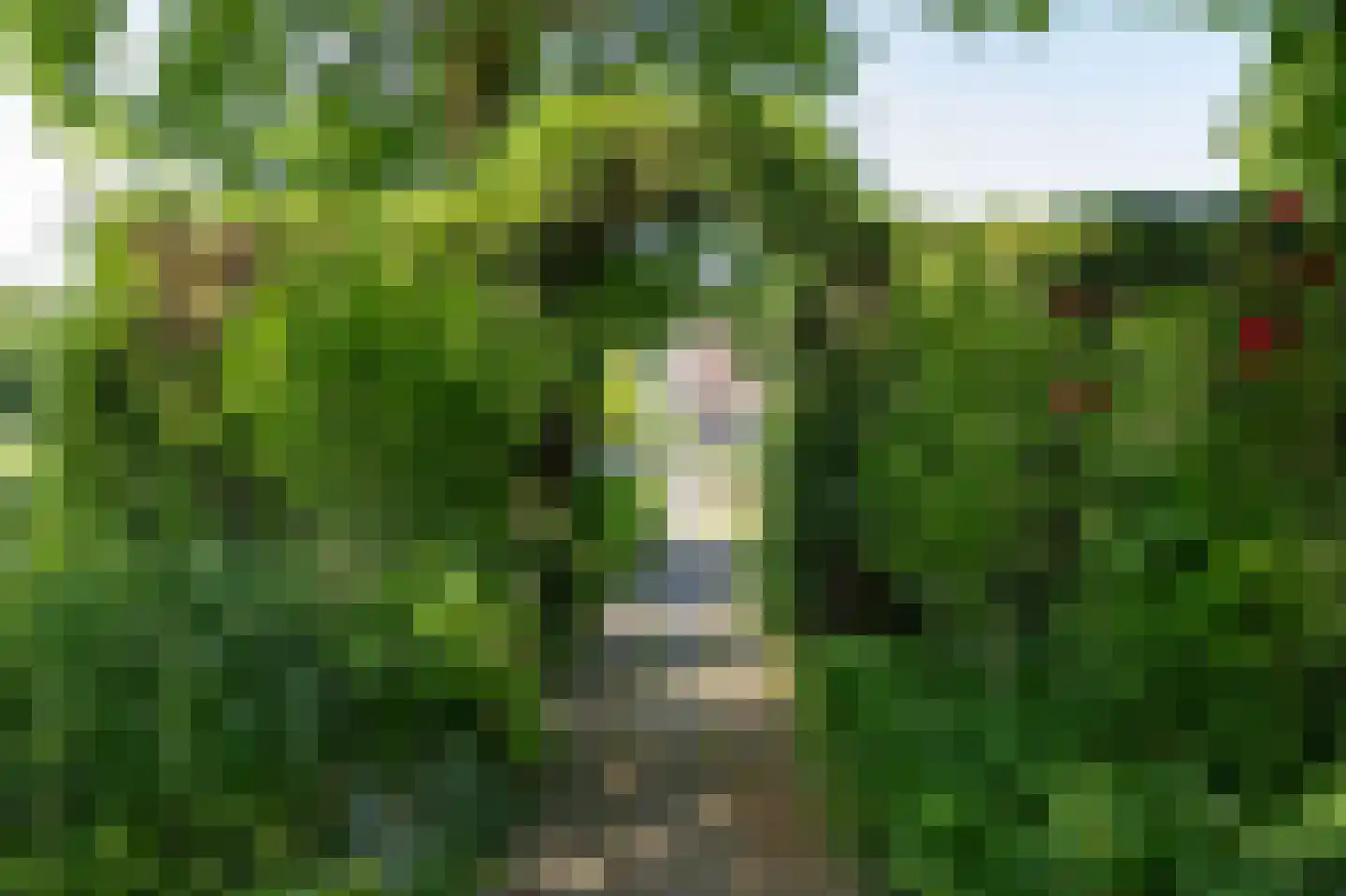 Demmerik 38 WS Vinkeveen thumbnail 14