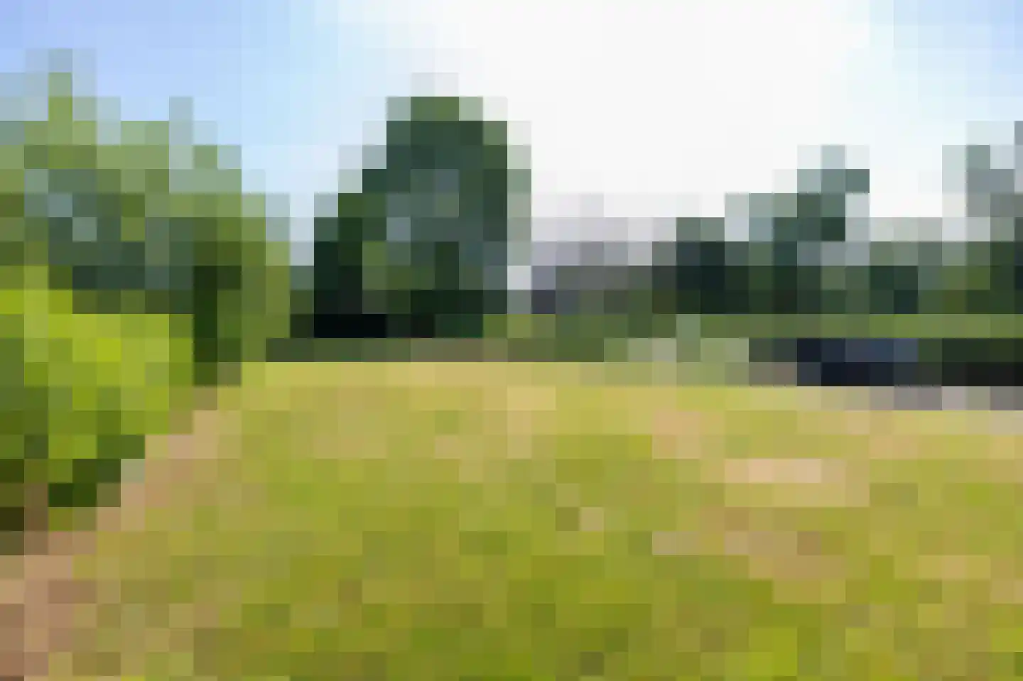 Demmerik 38 WS Vinkeveen thumbnail 17
