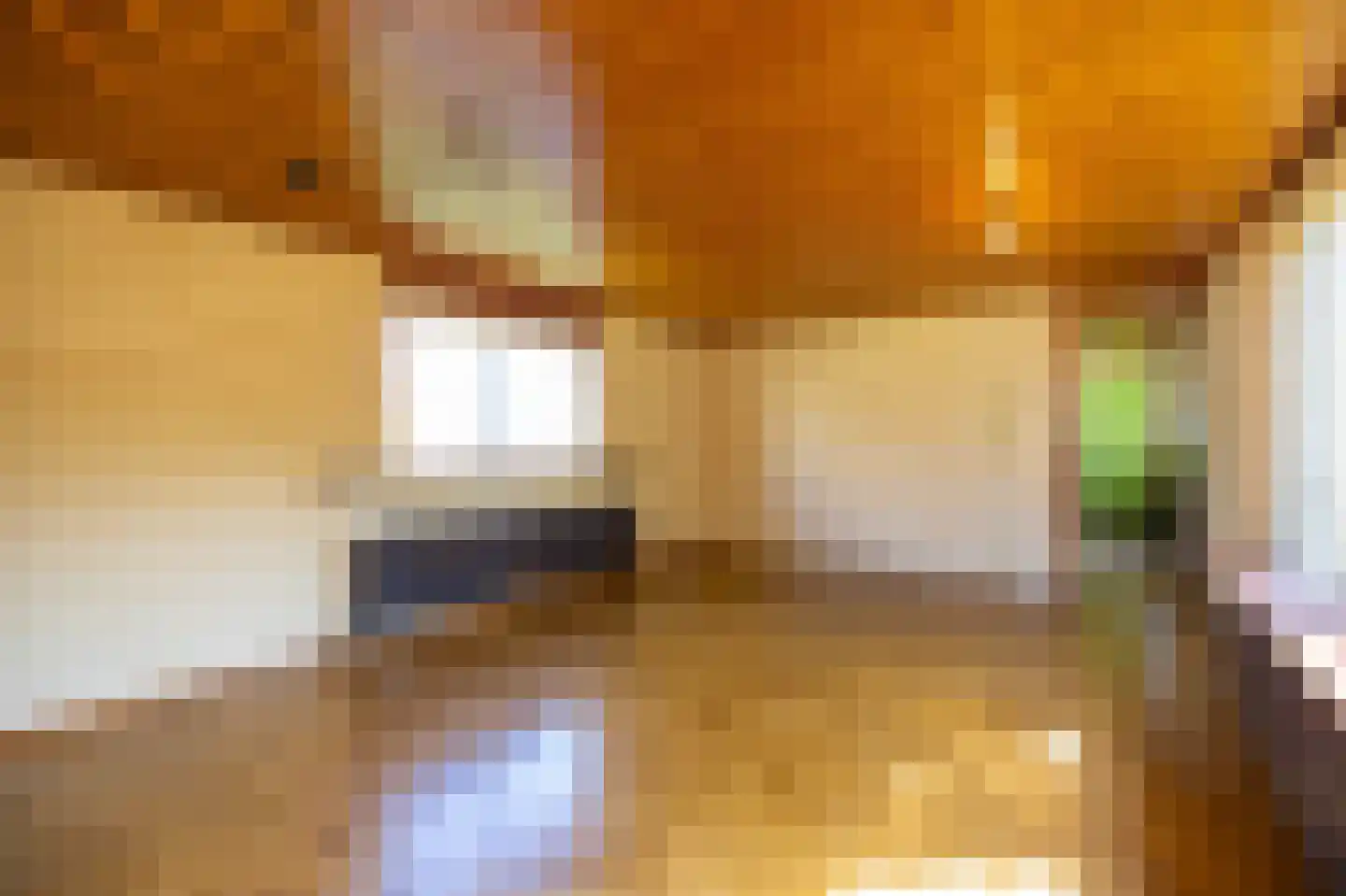 Demmerik 38 WS Vinkeveen thumbnail 8