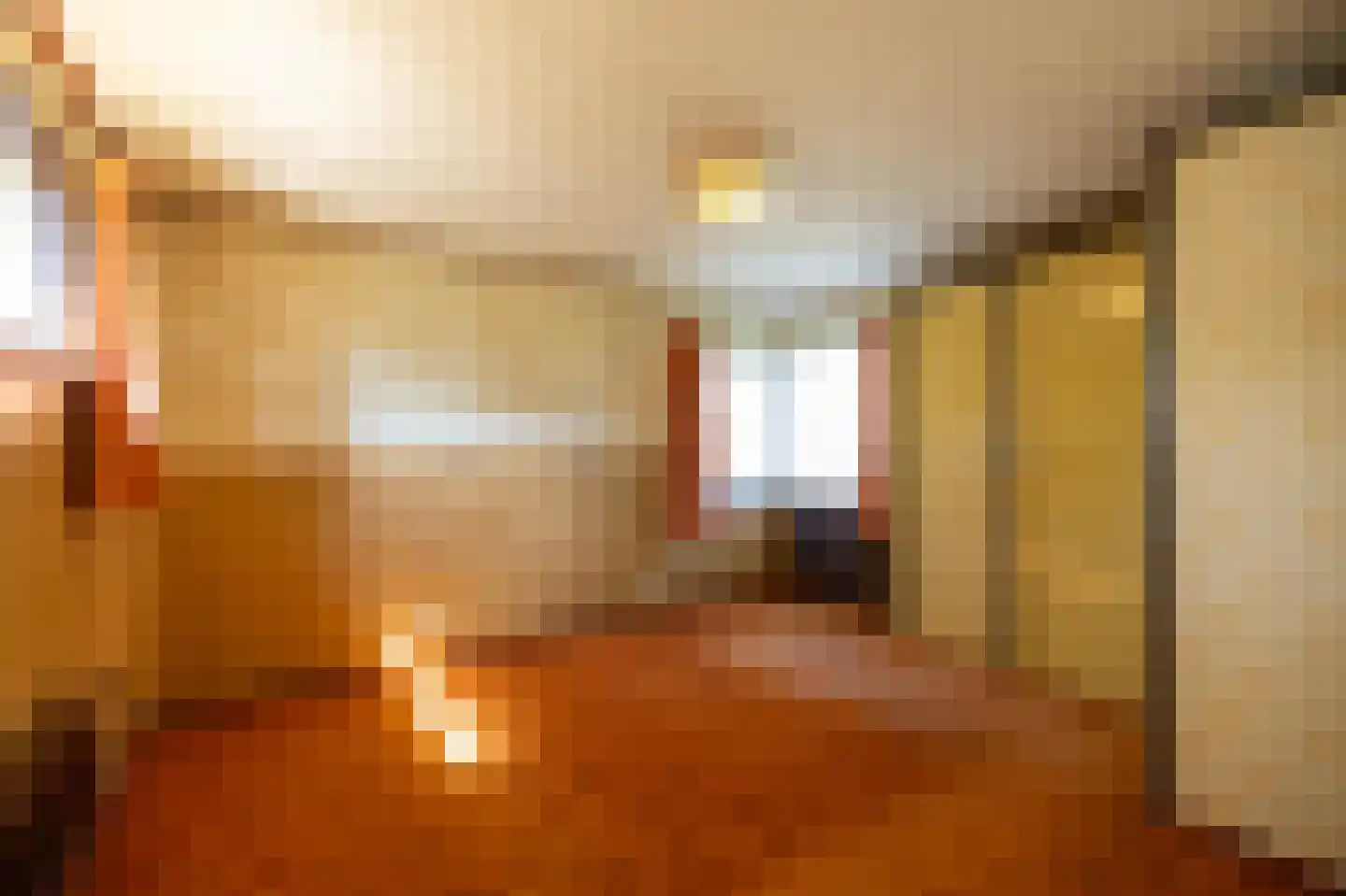 Demmerik 38 WS Vinkeveen thumbnail 9