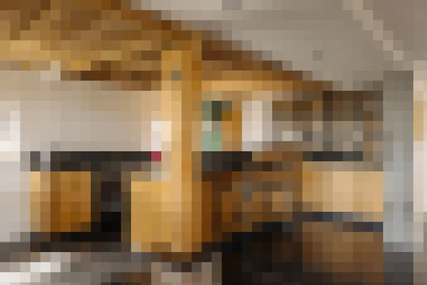 Demmerik 39 Vinkeveen thumbnail 14