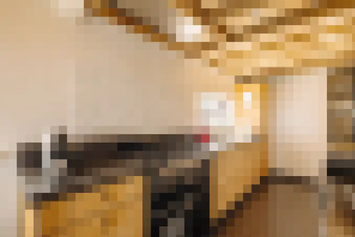 Demmerik 39 Vinkeveen thumbnail 15