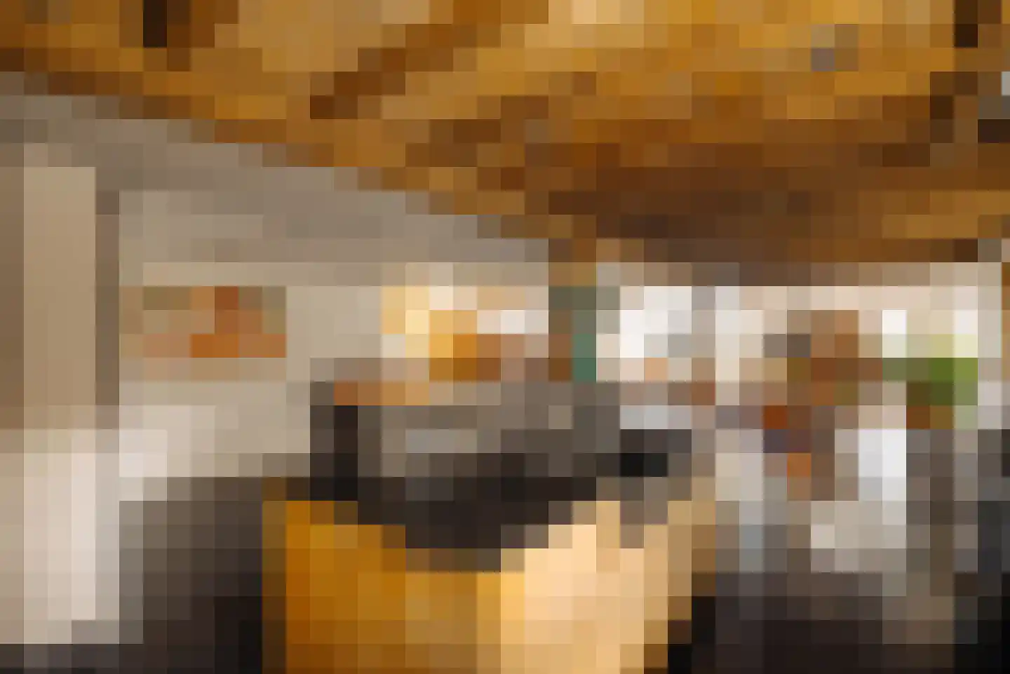 Demmerik 39 Vinkeveen thumbnail 17