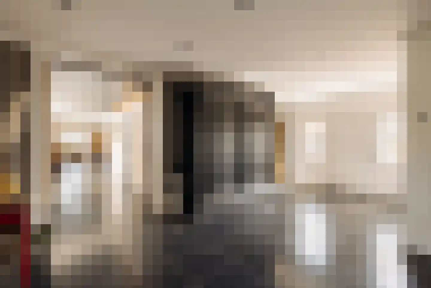 Demmerik 39 Vinkeveen thumbnail 18