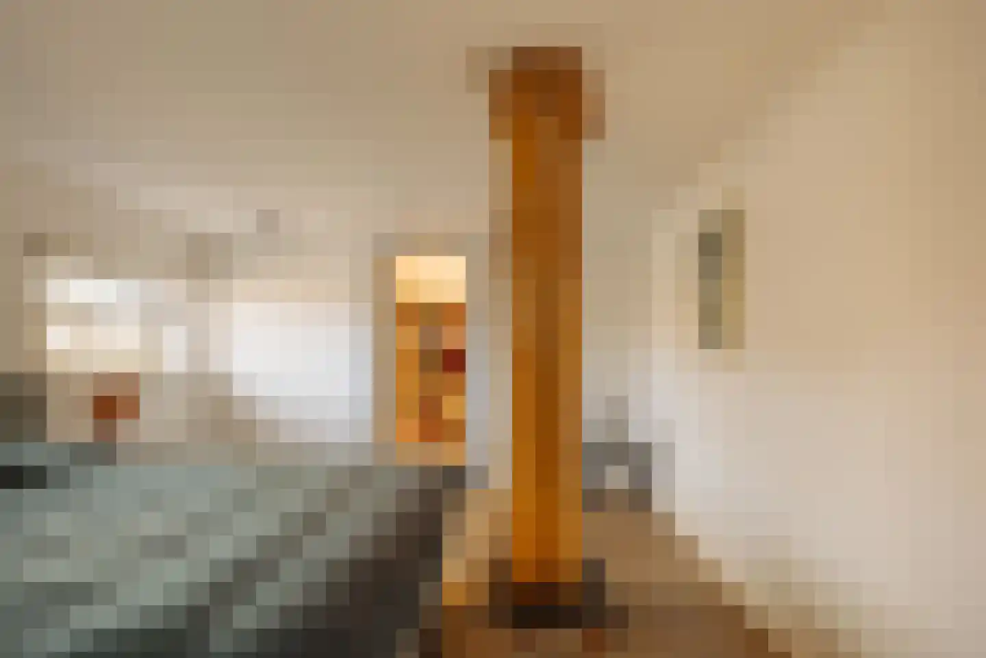 Demmerik 39 Vinkeveen thumbnail 19