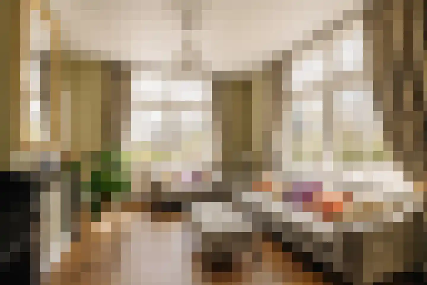 Demmerik 39 Vinkeveen thumbnail 26