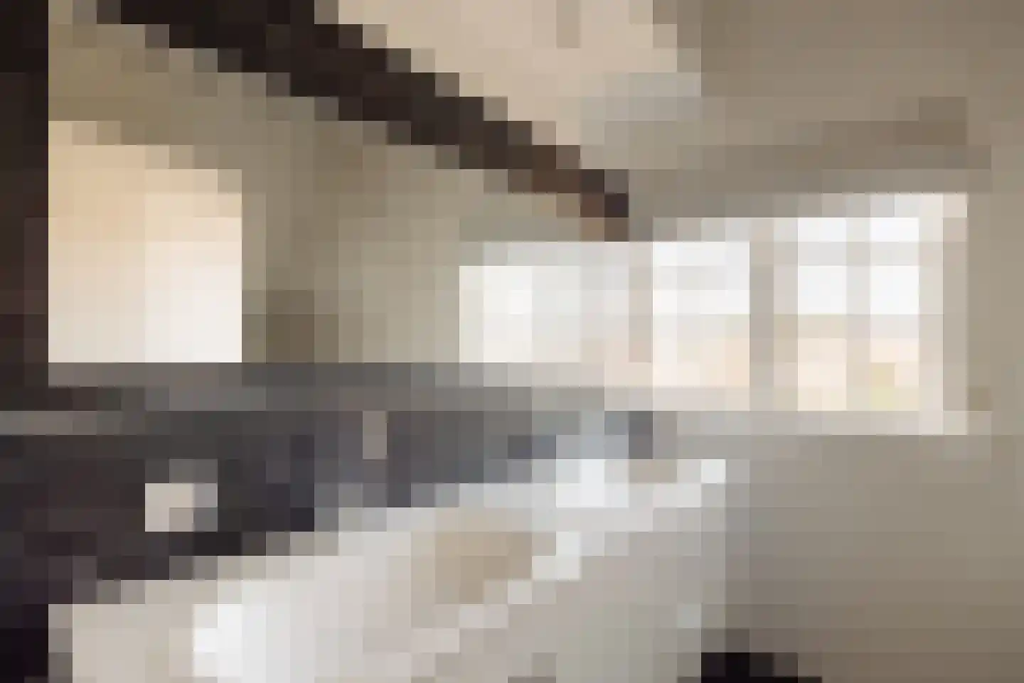 Demmerik 39 Vinkeveen thumbnail 33
