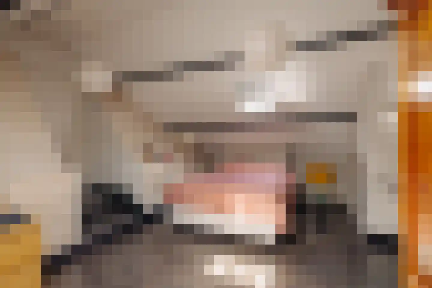 Demmerik 39 Vinkeveen thumbnail 37