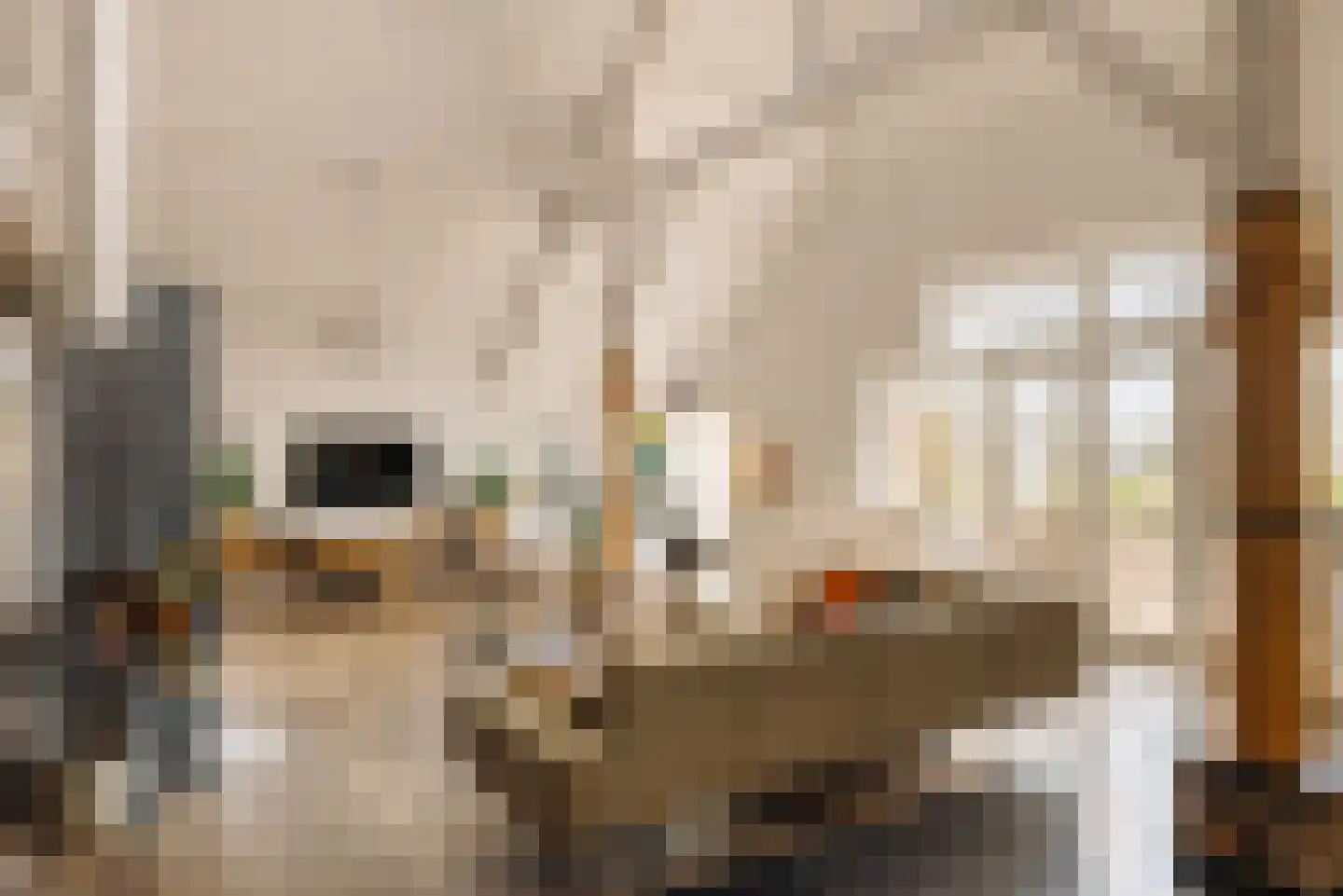 Demmerik 39 Vinkeveen thumbnail 4
