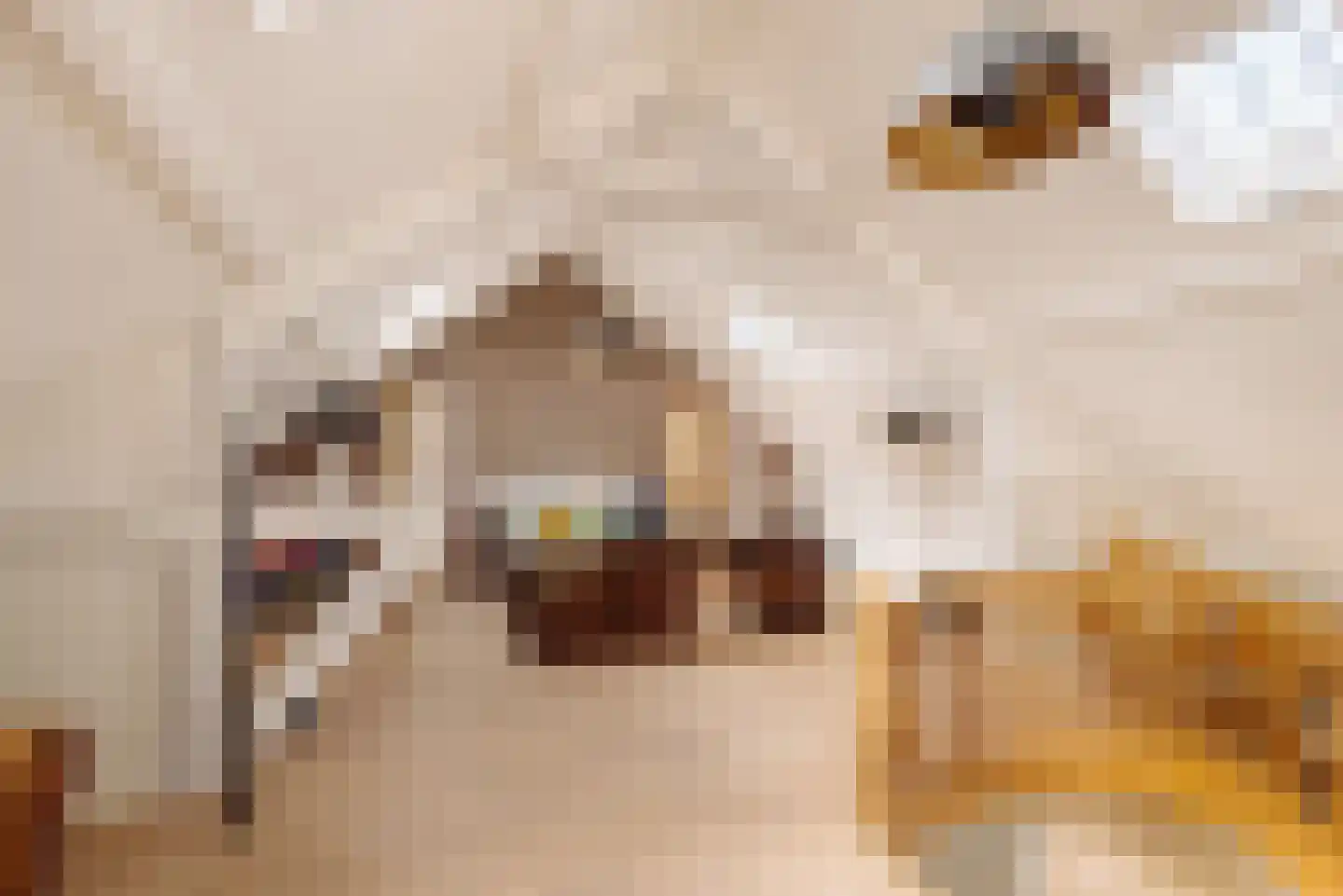 Demmerik 39 Vinkeveen thumbnail 40