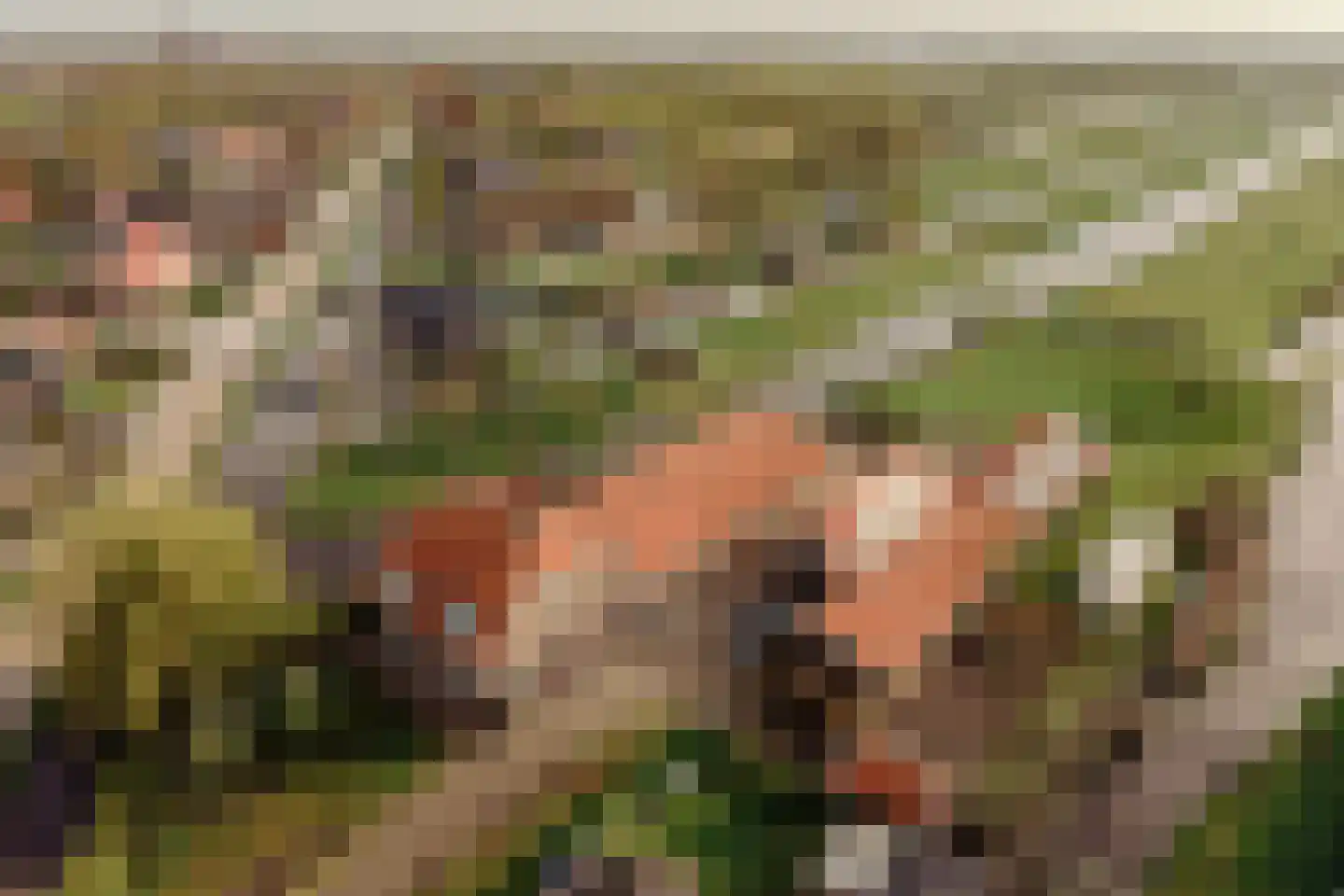 Demmerik 39 Vinkeveen thumbnail 41