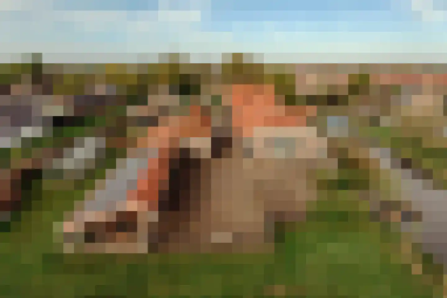 Demmerik 39 Vinkeveen thumbnail 5