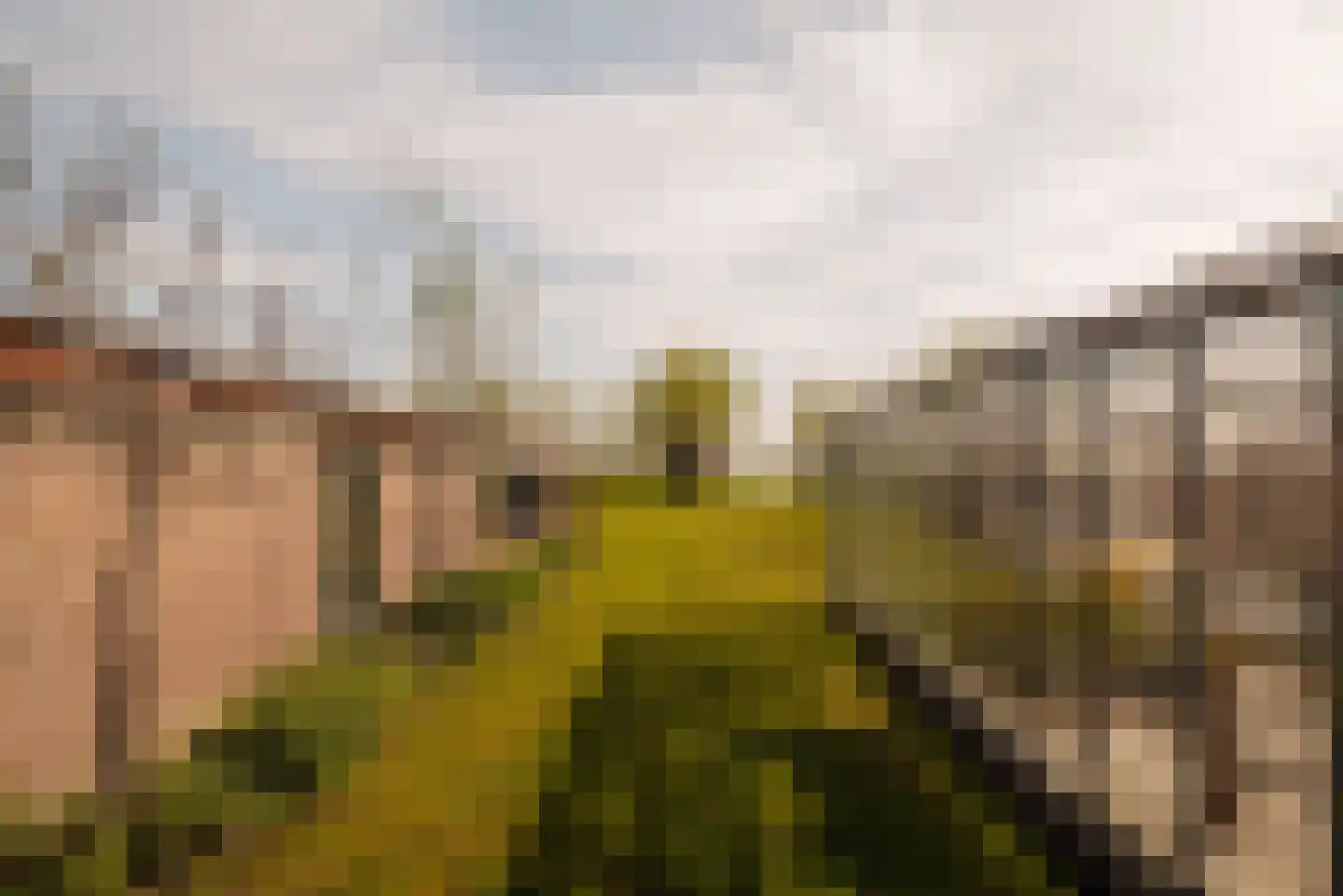 Demmerik 39 Vinkeveen thumbnail 50
