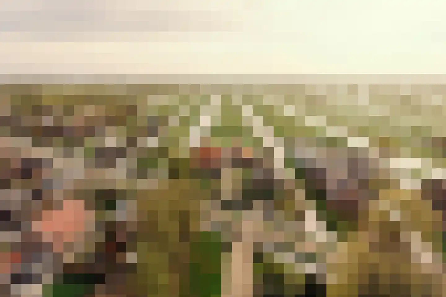 Demmerik 39 Vinkeveen thumbnail 51