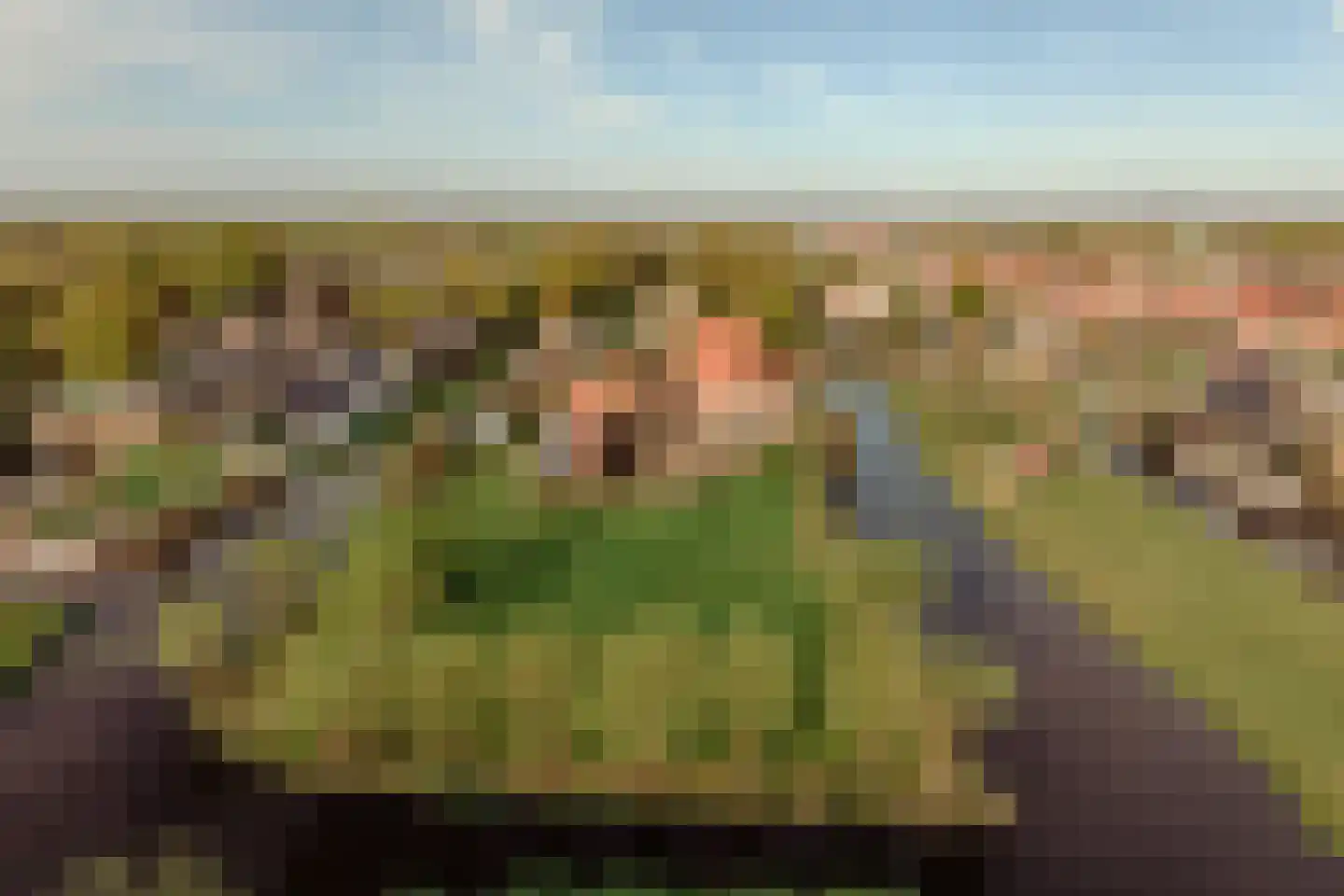 Demmerik 39 Vinkeveen thumbnail 52