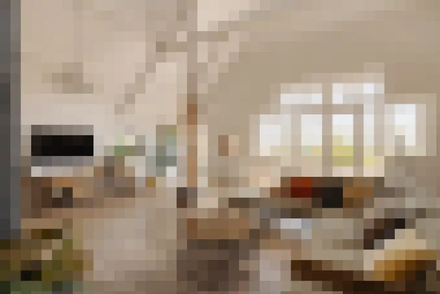 Demmerik 39 Vinkeveen thumbnail 8