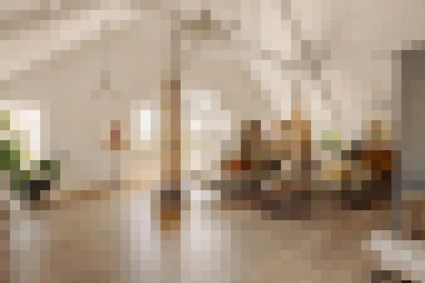 Demmerik 39 Vinkeveen thumbnail 9