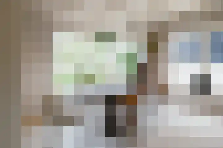 Demmerik 49 Vinkeveen thumbnail 12
