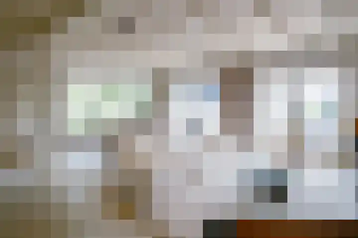 Demmerik 49 Vinkeveen thumbnail 13