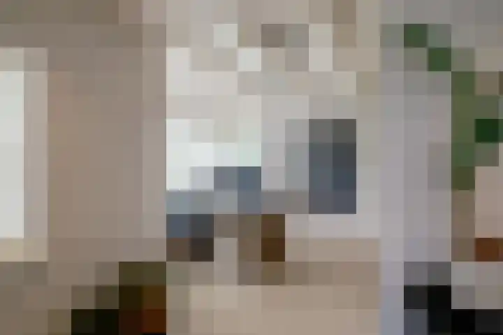 Demmerik 49 Vinkeveen thumbnail 14