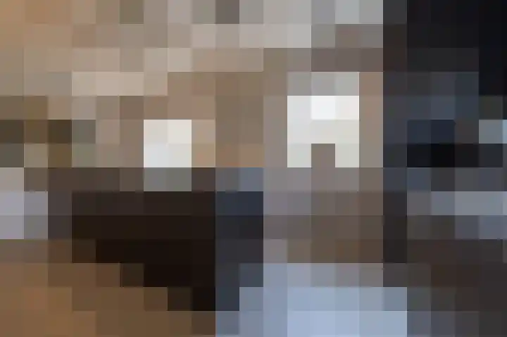 Demmerik 49 Vinkeveen thumbnail 15