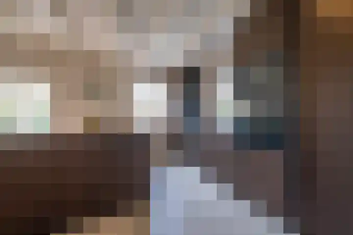 Demmerik 49 Vinkeveen thumbnail 16