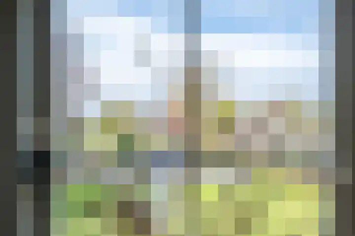 Demmerik 49 Vinkeveen thumbnail 17
