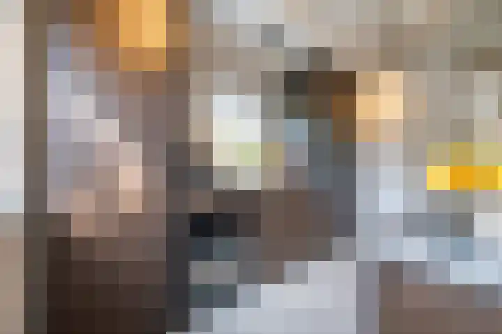 Demmerik 49 Vinkeveen thumbnail 18