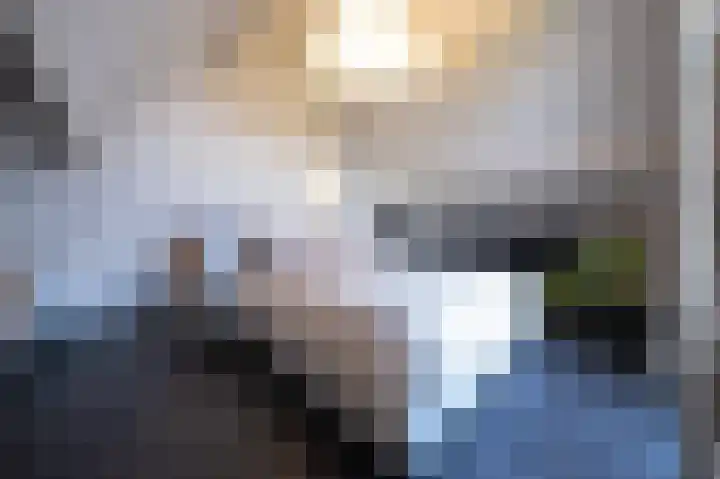 Demmerik 49 Vinkeveen thumbnail 23