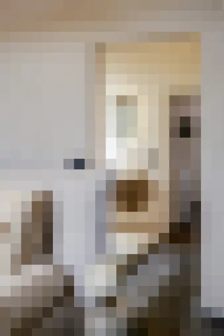Demmerik 49 Vinkeveen thumbnail 24