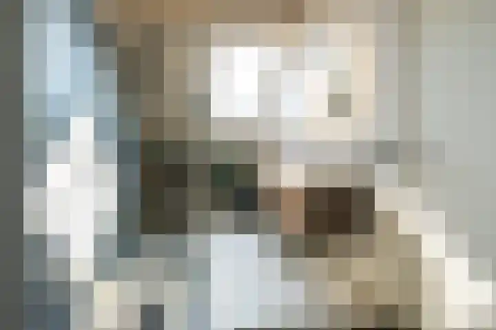 Demmerik 49 Vinkeveen thumbnail 26