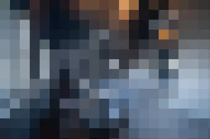 Demmerik 49 Vinkeveen thumbnail 28