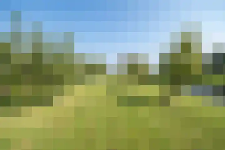 Demmerik 49 Vinkeveen thumbnail 40