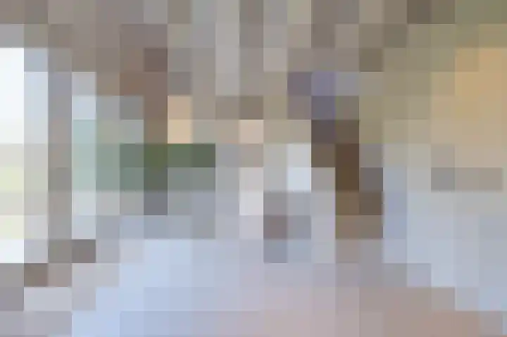 Demmerik 49 Vinkeveen thumbnail 7