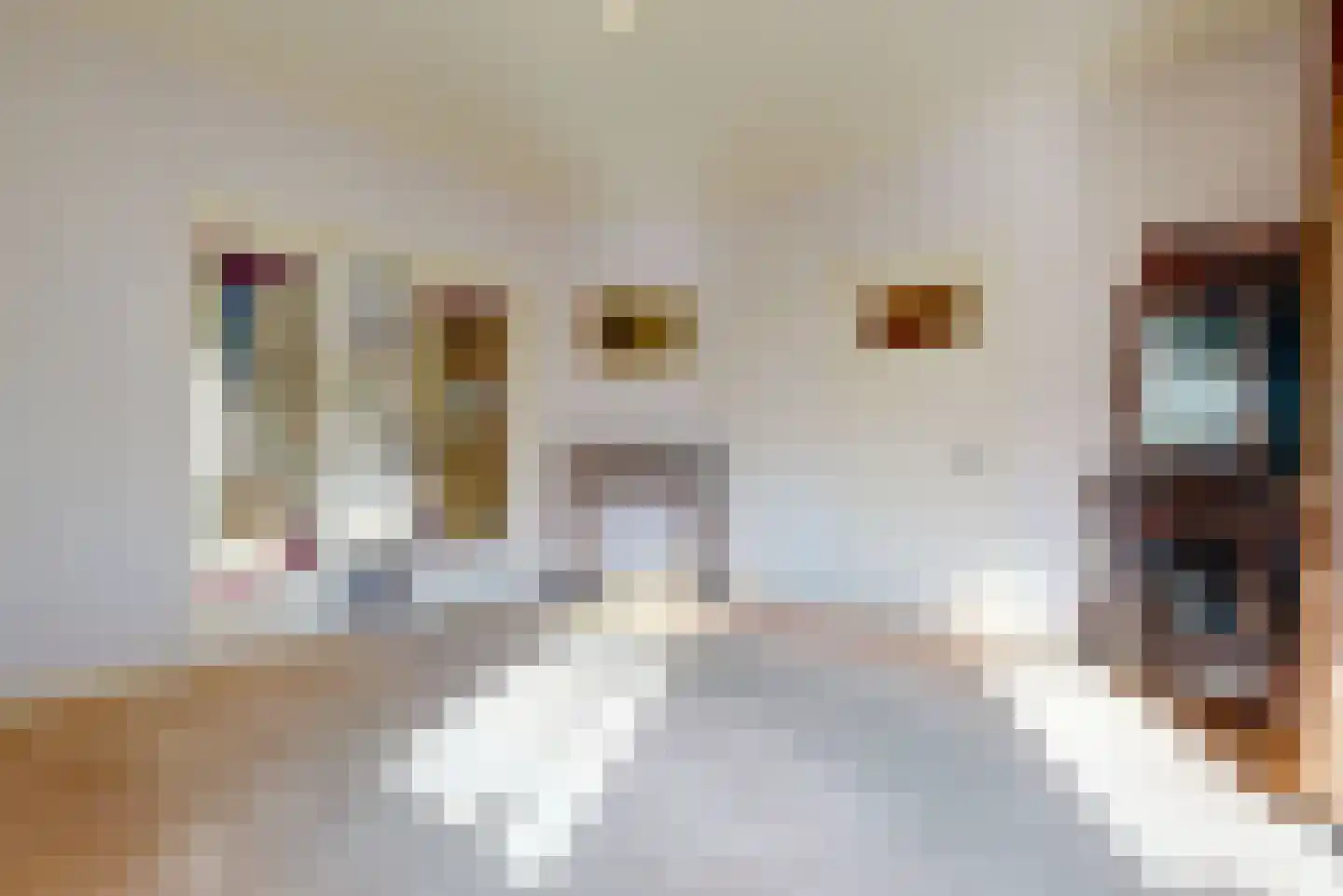 Demmerik 54 Vinkeveen thumbnail 10