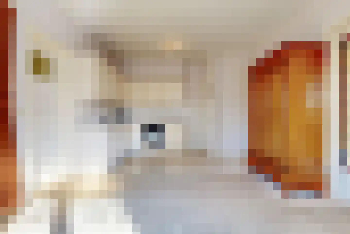 Demmerik 54 Vinkeveen thumbnail 17
