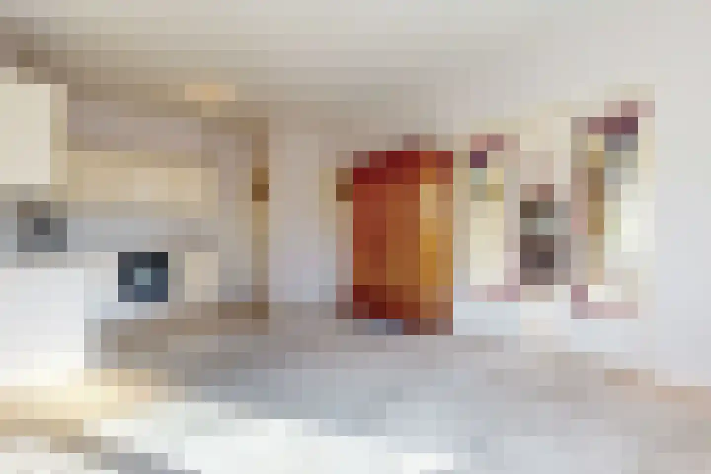 Demmerik 54 Vinkeveen thumbnail 18