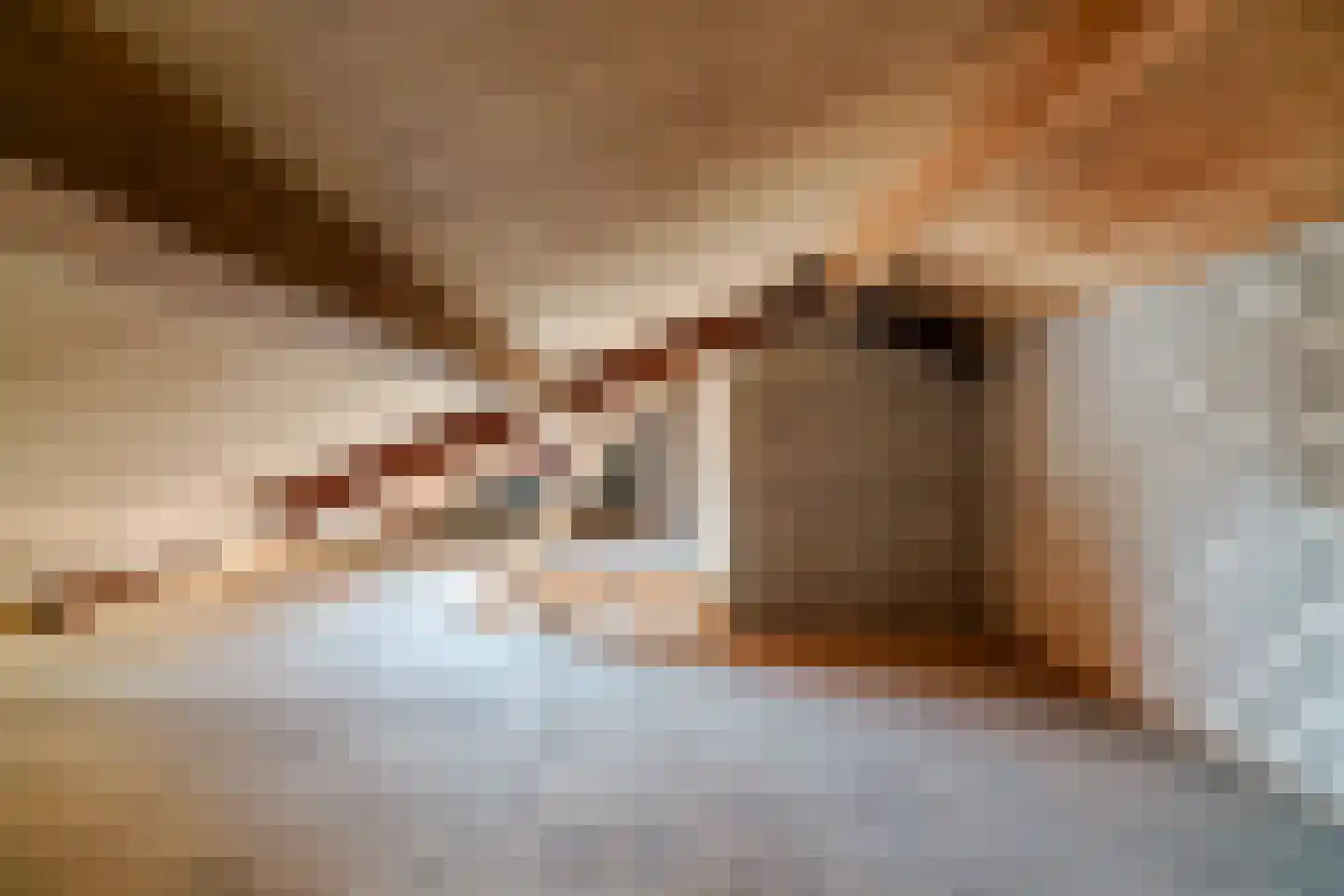 Demmerik 54 Vinkeveen thumbnail 45