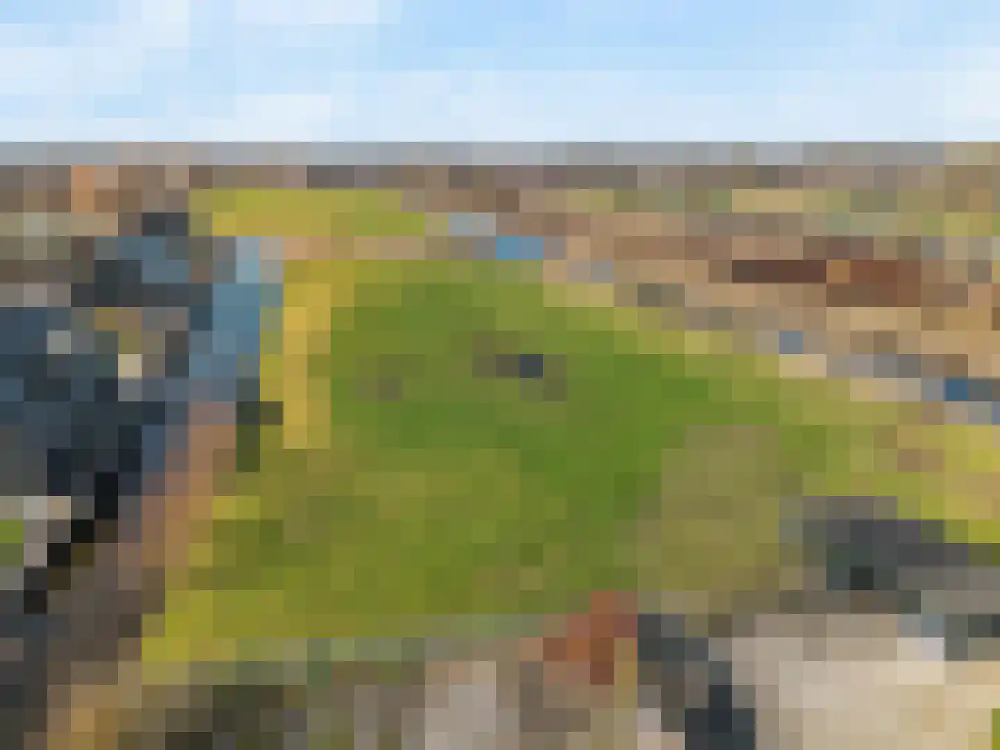 Demmerik 54 Vinkeveen thumbnail 47