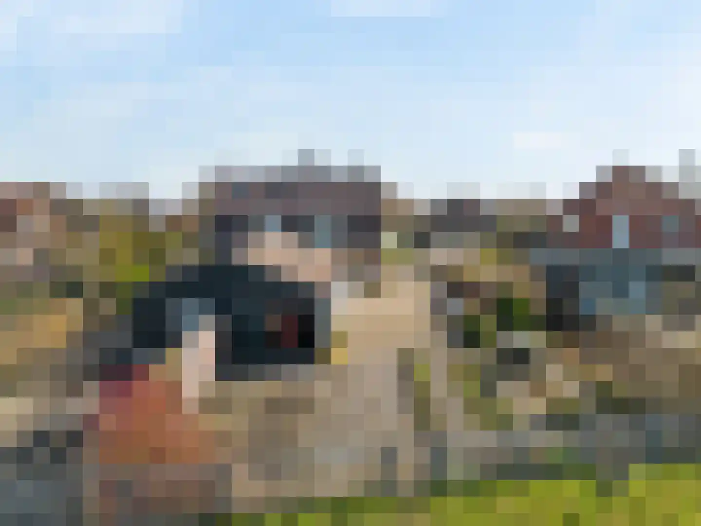 Demmerik 54 Vinkeveen thumbnail 51