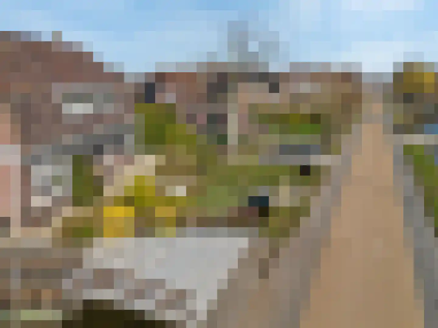 Demmerik 54 Vinkeveen thumbnail 53