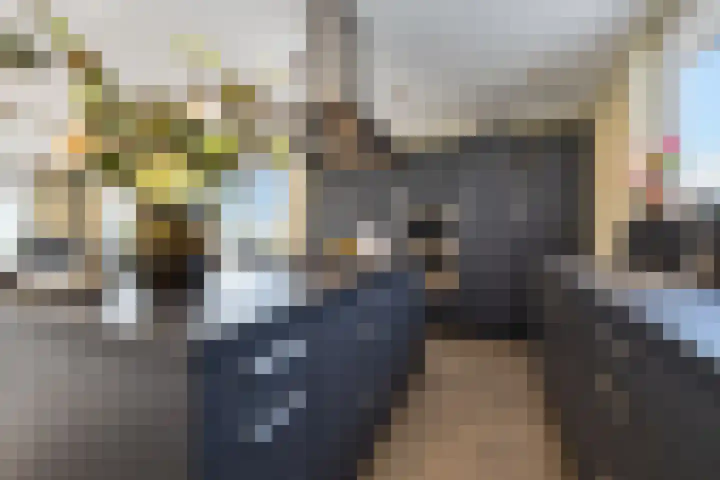 Demmerik 66 C Vinkeveen thumbnail 14