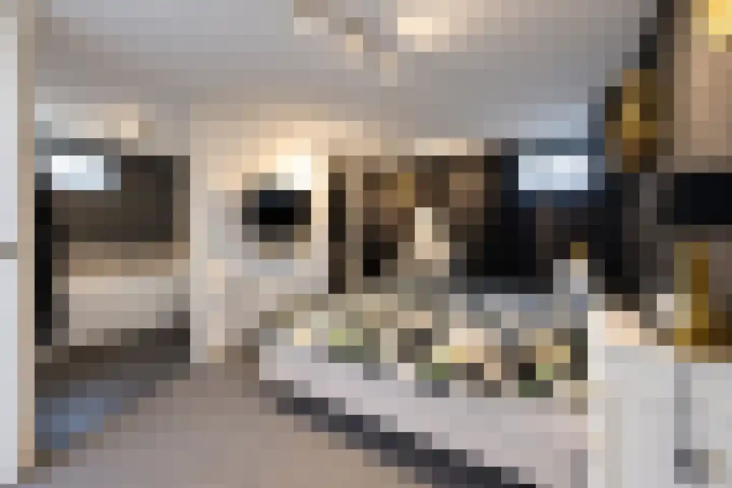 Demmerik 66 C Vinkeveen thumbnail 18