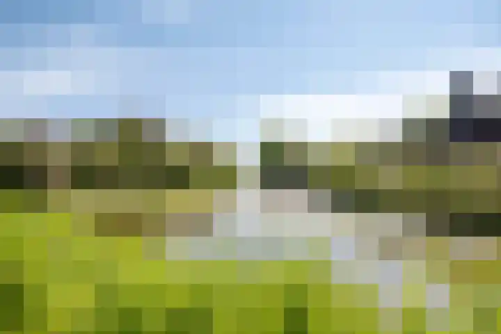 Demmerik 68 A Vinkeveen thumbnail 12