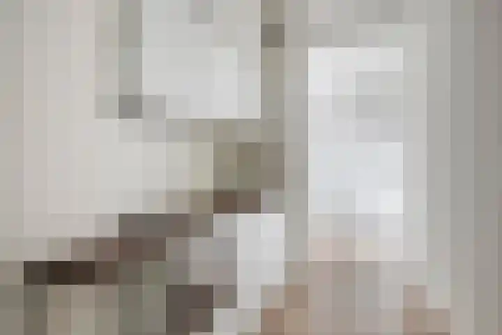 Demmerik 68 A Vinkeveen thumbnail 8