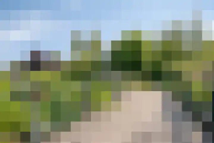 Demmerik 68 C Vinkeveen thumbnail 20
